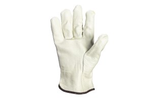 6526 - 6528 - Leather Drive Palm_LWG652X.jpg